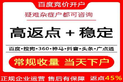 某电商平台的SEM服务全解析